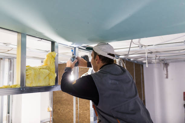 Best Attic Insulation Installation  in Scenic Oaks, TX