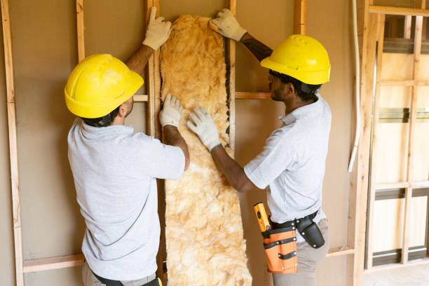 Best Best Insulation Companies  in Scenic Oaks, TX